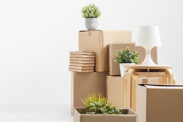 lamp boxes plants - stress-free move