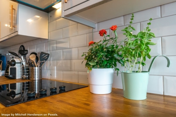 tidy kitchen counter with two pots of flowers on it representing spring cleaning your kitchen