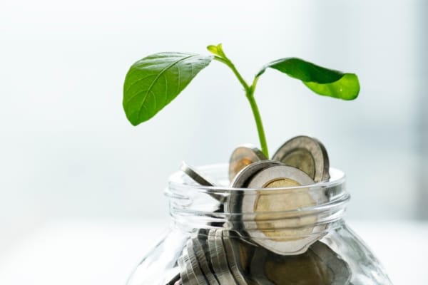 plant growing out of a jar containing coins representing day-to-day finances and investment growth