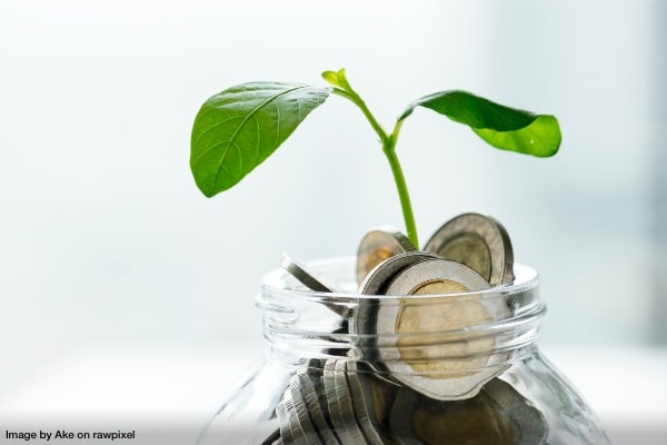 A small two leaf plant growing out of a jar filled with coins representing ways to save money in a small business.